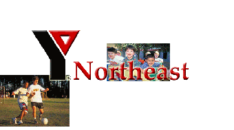 Northeast Family YMCA Logo